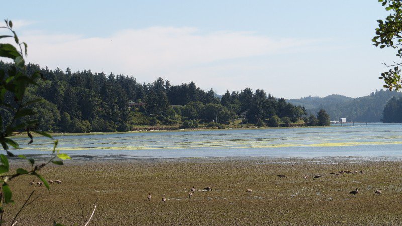 Following the Yaquina River from the Bay