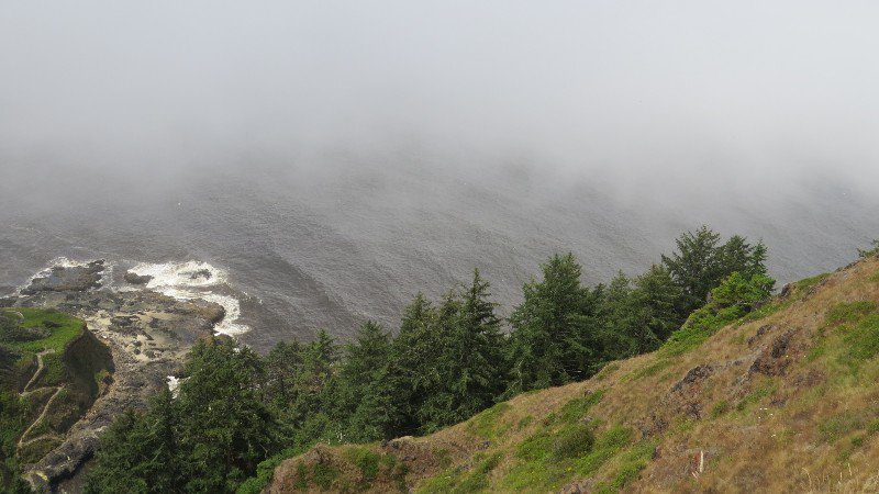 Views from on Top of Cape Perpetua 800' over the Pacific