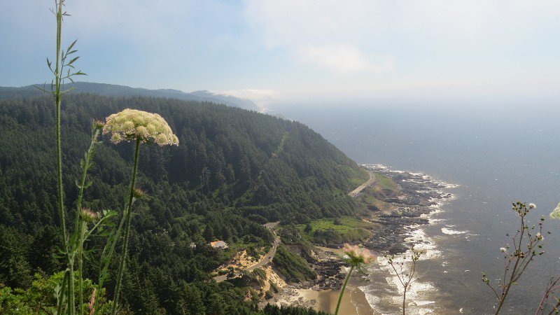 Views from on Top of Cape Perpetua 800' over the Pacific