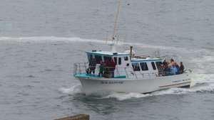 Depoe Bay Whale Boat