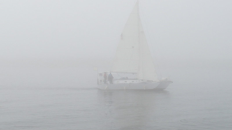 Sailing Foggy