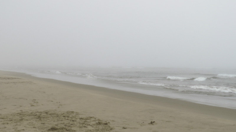 Fog on the Beach