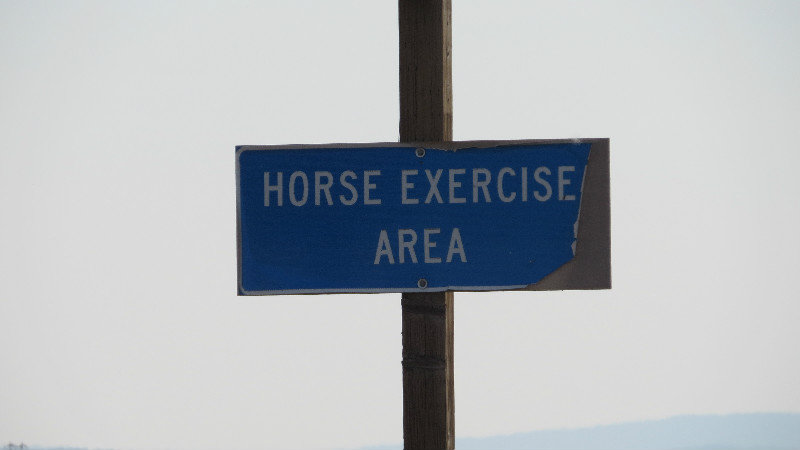 How Many Have Seen This Sign at a Rest Area???