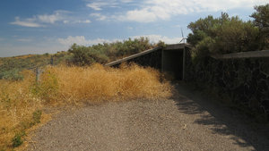 Much of the Trail to the O.T. was Blocked by Tumble Weed
