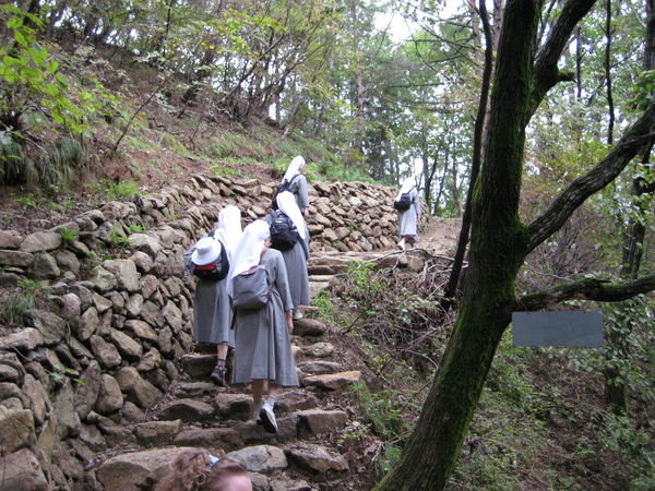 follow those nuns! not something i ever thought id say!