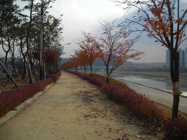 walking down by Yeongju river