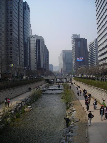 the stream - Seoul