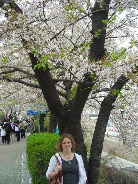 Me and cherry blossom festival