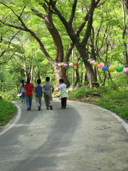 lanterns lining the road to the temple
