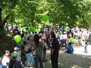 Childrens's day in Seoul - crazy!!