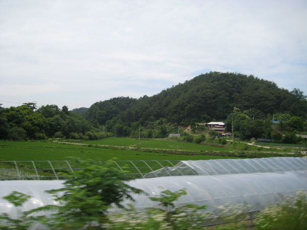 out of the bus window to Bongseong