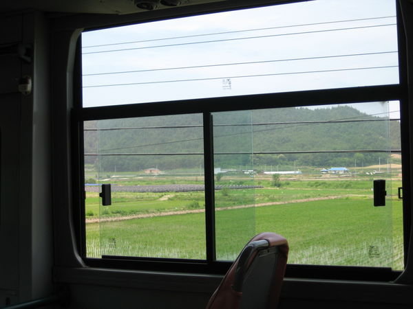fields through every window of the bus!