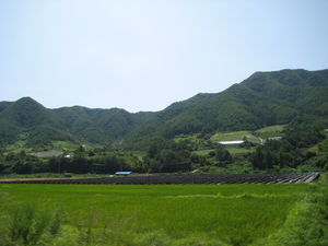Near Jaesan