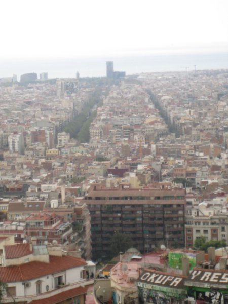 looking over the city from parc guell