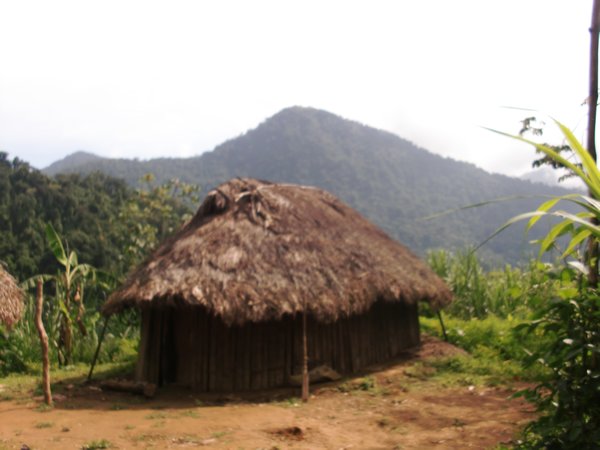 Traditional Kogi Indian Hut