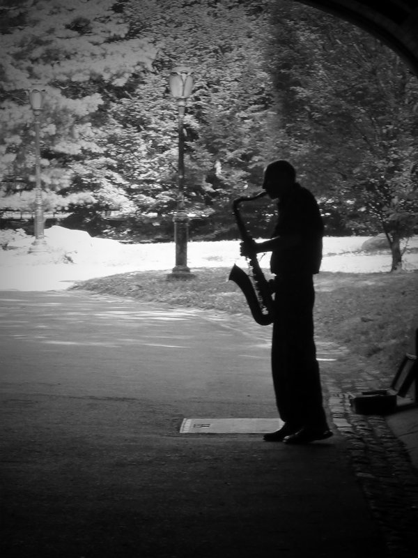 Jazz Sax player Central Park