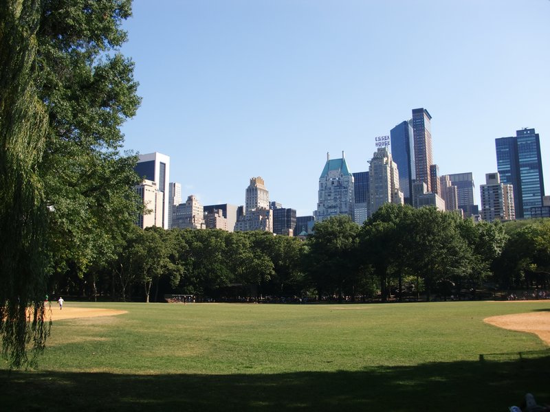 View Across Central Park