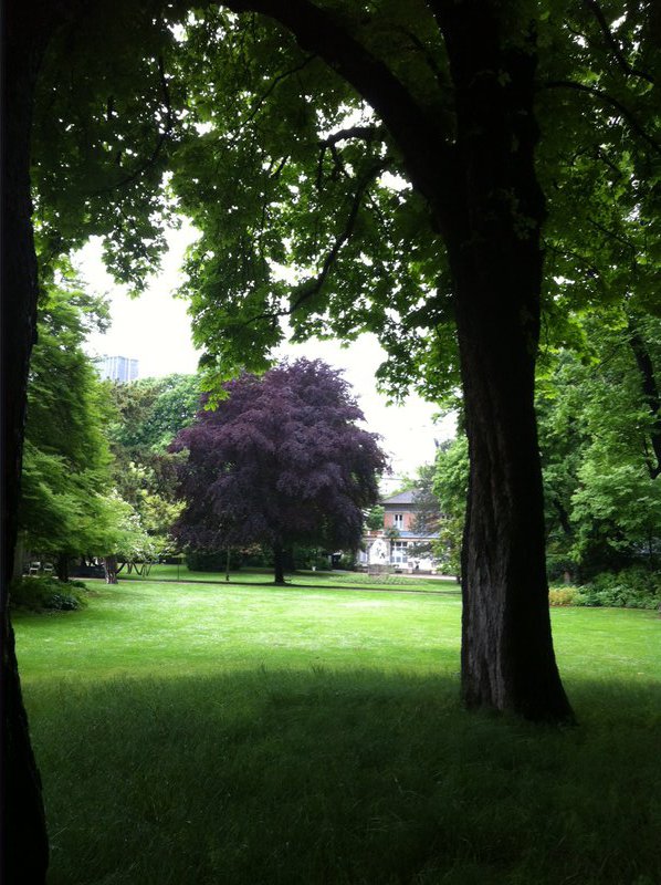 Jardin Du Luxembourg