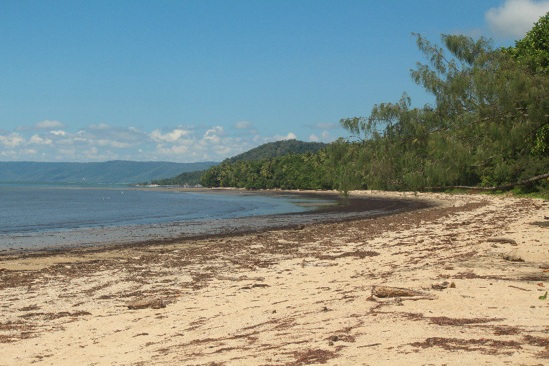 beach at wonga wonga 