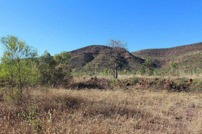 The hills surrounding the camp