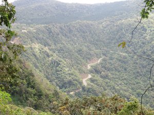 the road up to Eungella National Park