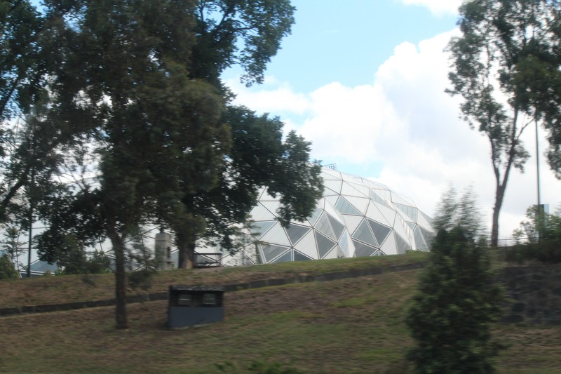 domes through the trees