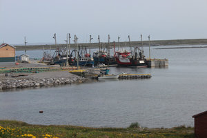 Cook’s Harbour Newfoundland | Travel Blog