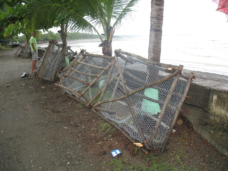 Hand made fishing traps