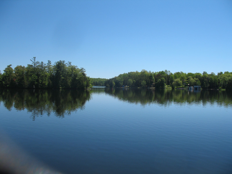 Calm on the Trent River