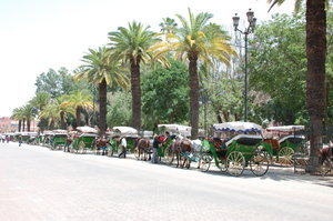 Horse carriages around La Place