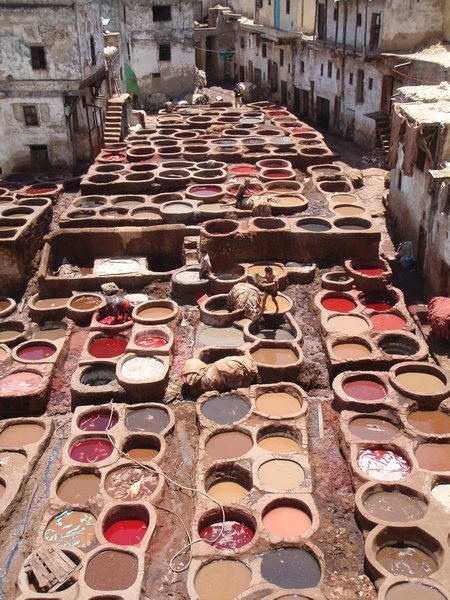 Fes tanneries.