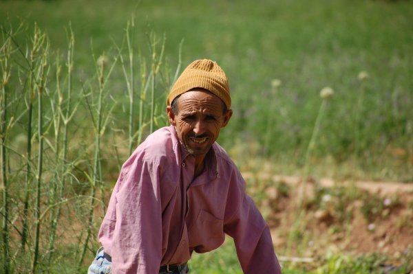 Berber man taking a break in the fields