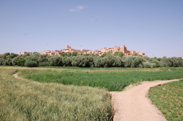 View of a kasbah from the fields of the Palmeraie