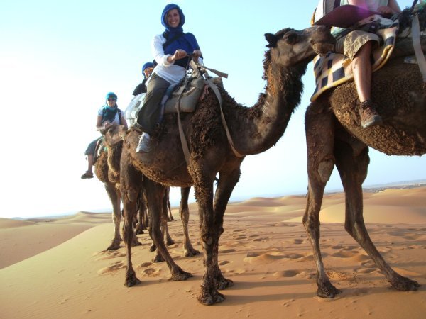 Laure standing tall on her camel