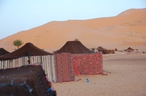 Bivouac settlement in the dunes