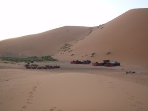Our camp in the Sahara