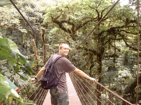 d! walking on a bridge over the rainforest