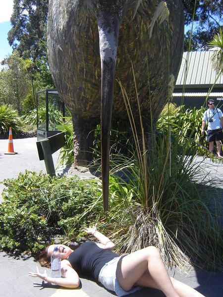 Alison meets a giant kiwi