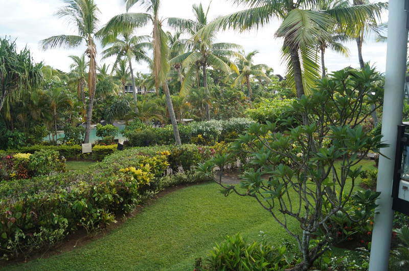 Le jardin de l'hôtel