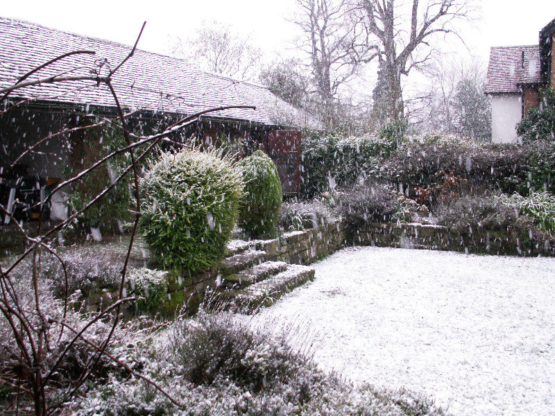 Snow comes to Albrighton