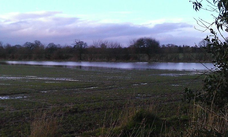 A flooded field
