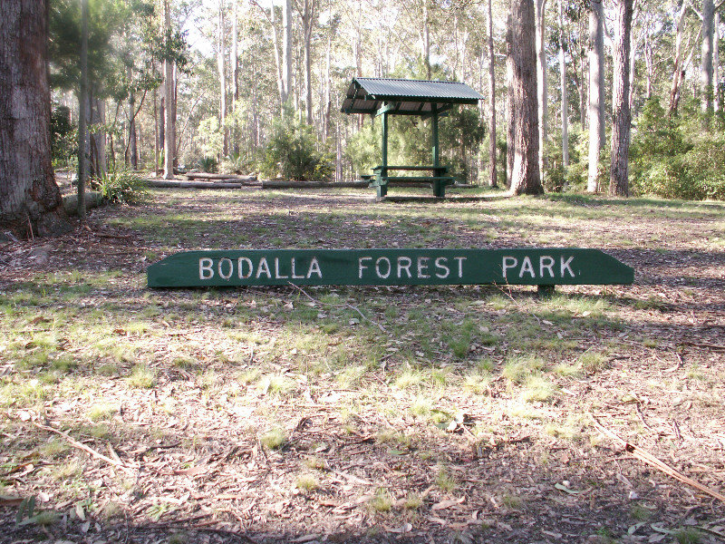 Bodalla Forest Park