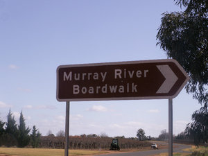 Red Cliffs Murray River walk