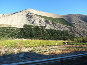 Valle Pisco