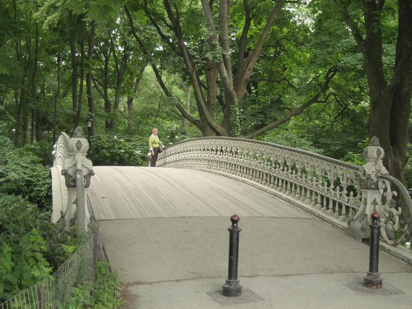 Walking through Central Park