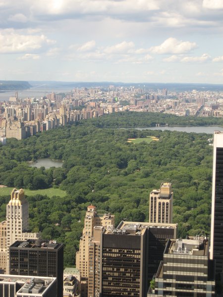 Overlooking Central Park