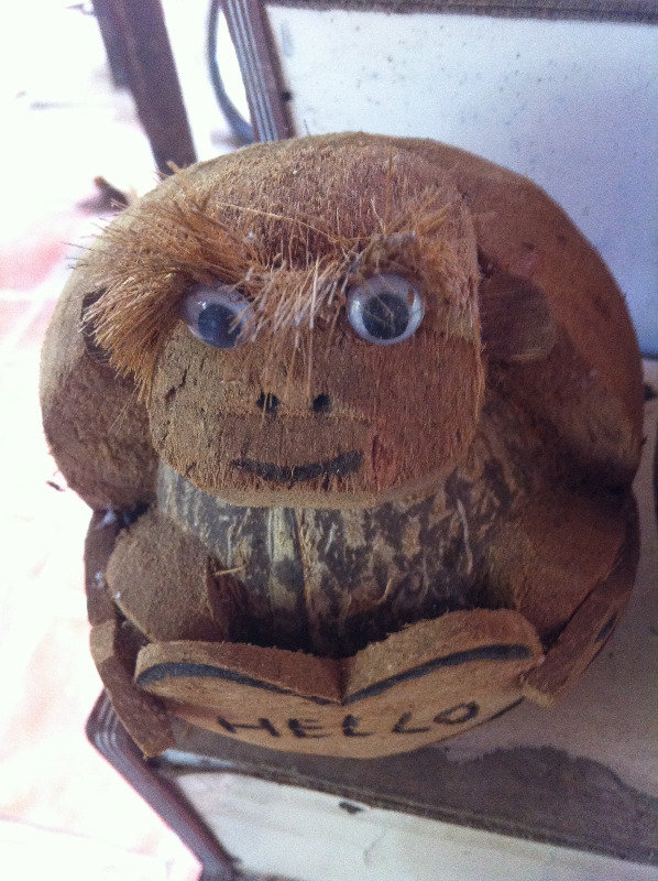 Pui Coconut Head