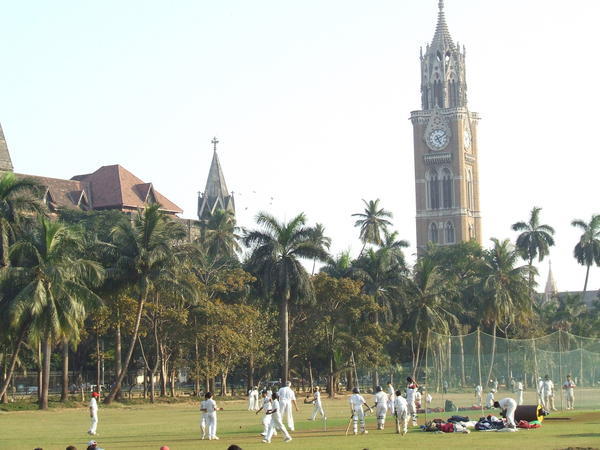 Cricket in Mumbai park