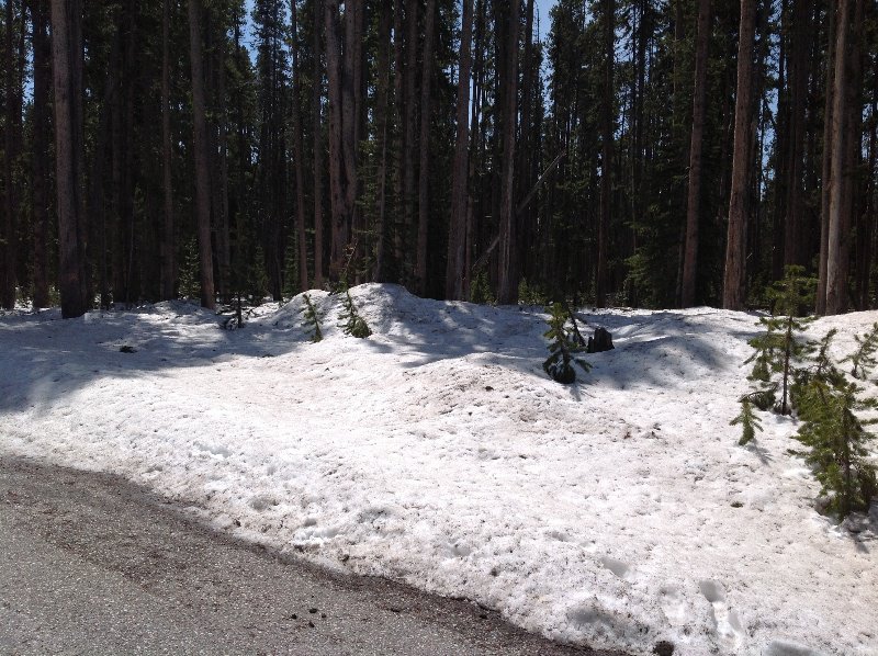 Snow on the side of the open pass