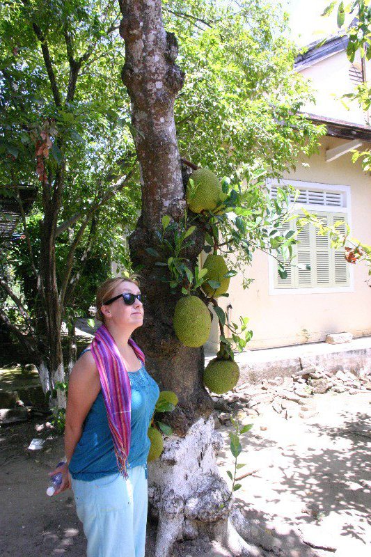 Amelia next to a Jackfruit tree in the Mandarin garden